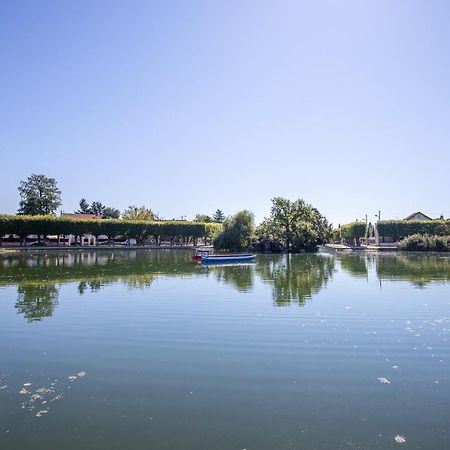 Appartement Cosy ,Wifi ,Gare "Le Refuge Du Lac" วิญู-ซูร์-เซน ภายนอก รูปภาพ