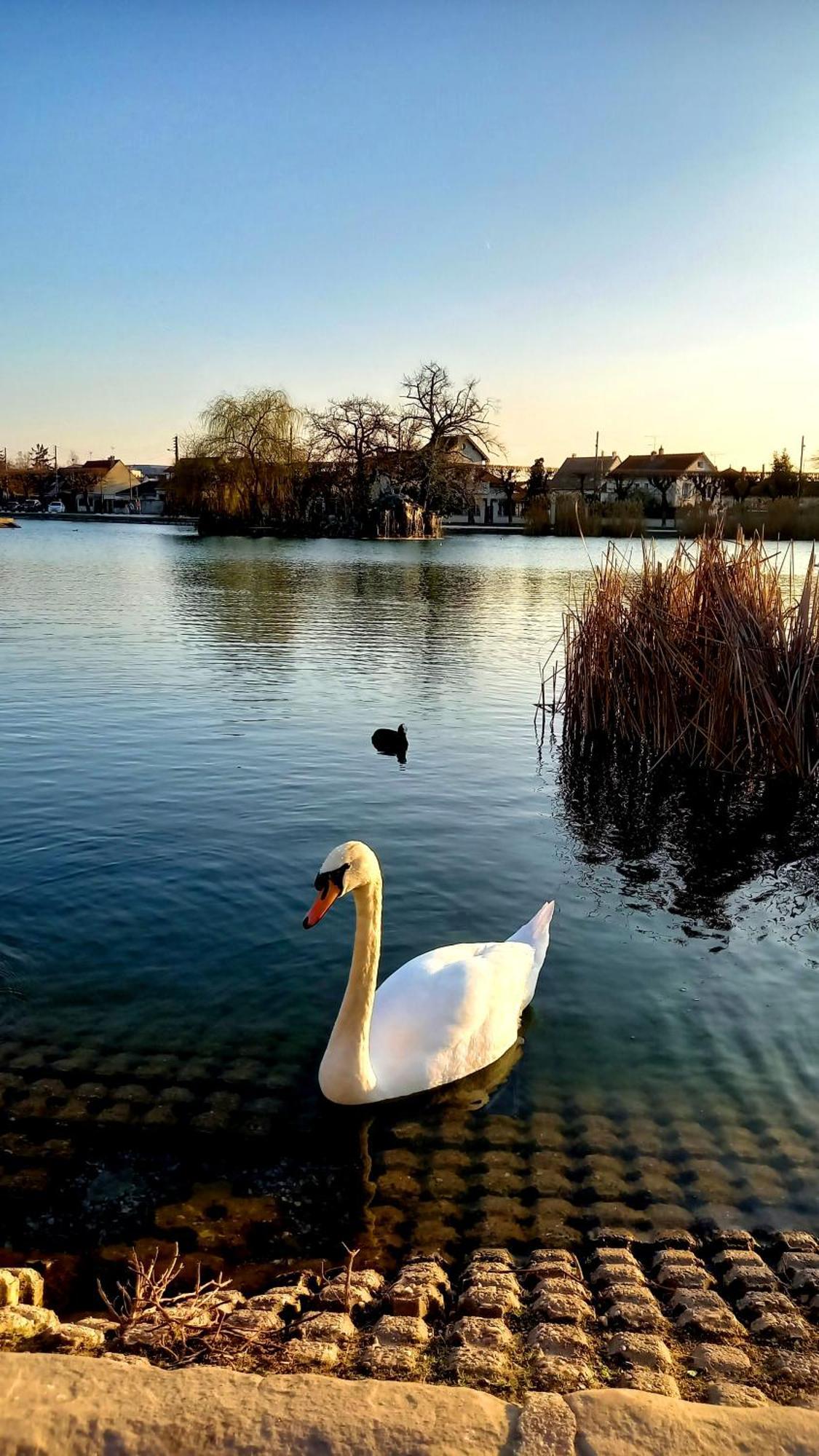 Appartement Cosy ,Wifi ,Gare "Le Refuge Du Lac" วิญู-ซูร์-เซน ภายนอก รูปภาพ